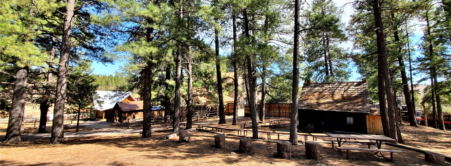 Pioneer Museum and wooded grounds in Flagstaff, Arizona